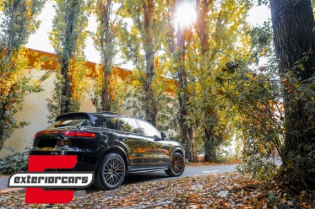 Bočne stepenice / Porsche Cayenne SUV (9Y0) (2018-), RBPO03