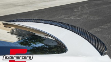 Lip bunkera (pravi carbon) / Tesla Model S (2012-, 7401CF