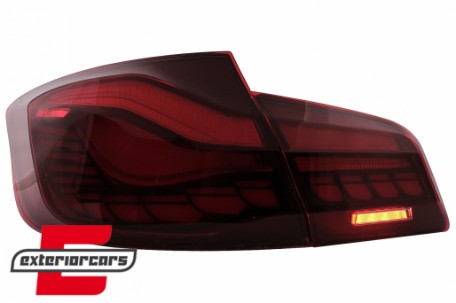OLED stražnja svjetla SEQ žmigavci (crvena/kristal) / BMW serije 5 F10 (2011-2017), LDBMK5