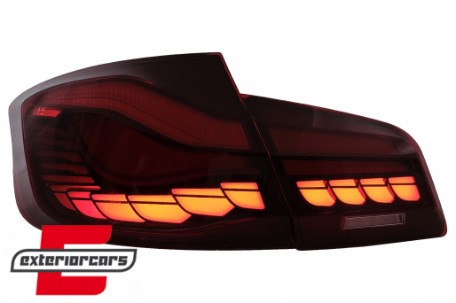 OLED stražnja svjetla SEQ žmigavci (crvena/kristal) / BMW serije 5 F10 (2011-2017), LDBMK5