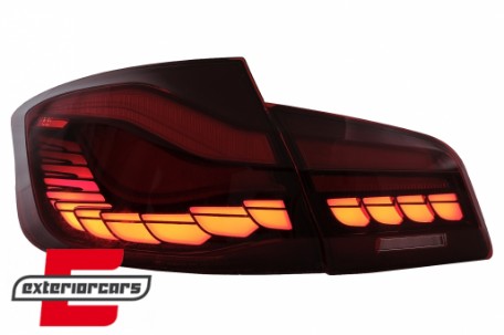 OLED stražnja svjetla SEQ žmigavci (crvena/kristal) / BMW serije 5 F10 (2011-2017), LDBMK5