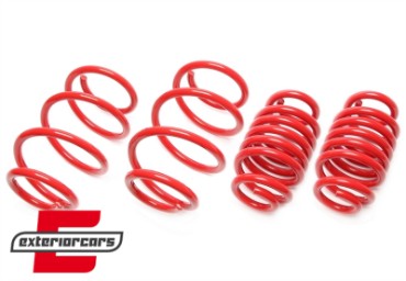 Opruge Ta Technix 40/40mm / VW Transporter T5+T6 (2003-2019), EVOVW258F