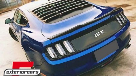 Poklopac za zaštitu od sunca / Ford Mustang Mk6 VI (2015-2022), RWLFMU